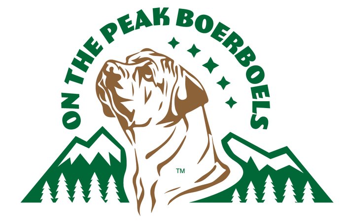On the Peak Boerboels logo design by Colorado Graphic Design