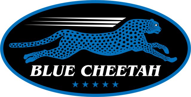 Blue Cheetah logo design by Colorado Graphic Design